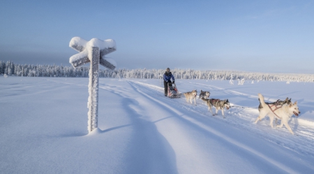 Tips voor een actieve vakantie in Lapland